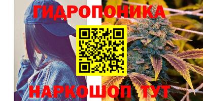 первитин Гусев
