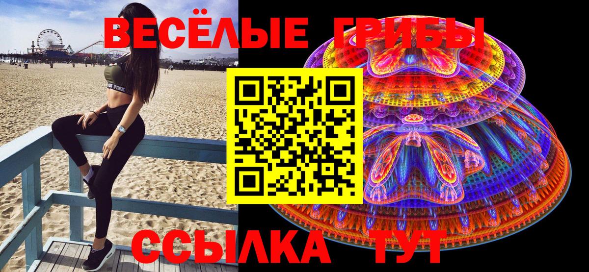 Галлюциногенные грибы прущие грибы  Вход с VPN  Междуреченск 